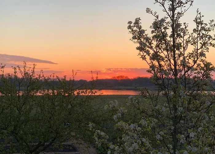 Vogelzicht Appartement Koedijk