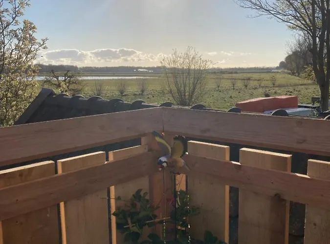 Vogelzicht Daire Koedijk